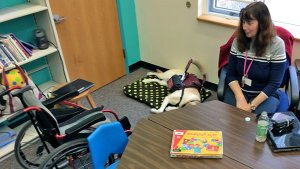 Woman sitting at a table with a wheelchair to the side and a service dog sleeping on a dog bed