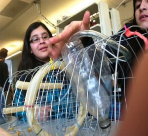 Students struggle to imitate a geothermal system at a workshop by the Wisconsin Institute for Discovery.