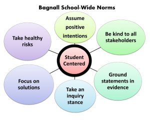 graphic showing school norms