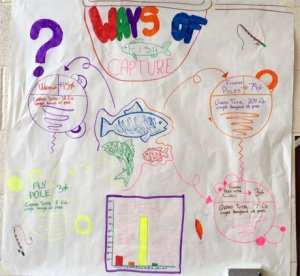 Student diagram on the wall showing stages of fish capture