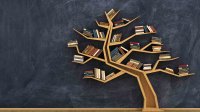 Image a bookshelf built in the shape of a tree positioned in front of a blackboard