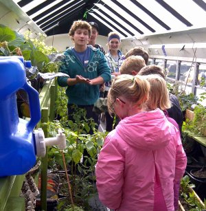 A group of kids and teenagers are standing inside of a bus without seats, filled with plants, and a glass roof.