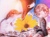 A person's legs are crossed over each other wearing boots relaxing on a rock cliff looking over a cloudy sky. Collaged on the image are a parent and baby penguin cuddling on the rocks, and a moon and large sunflower in the sky.