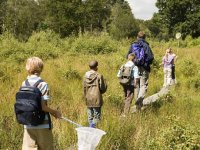 Kids holding butterfly nets walking with adult on a meadow trail