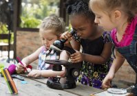 Three kindergarten students doing a science lab. The girl in the middle is looking into a microscope and the other two girls are looking on and writing things down on paper with markers.