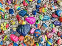 Assorted rocks painted with messages of kindness