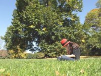 Girl in hat sitting reading in meadow with big tree