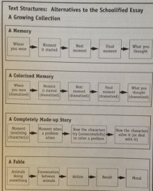 Text Structure 3