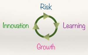 illustration of a circle with the words risk, learning, growth, and innovation around it