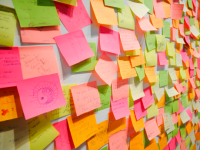 A photo of post-it notes in various bright colors stuck on a wall.