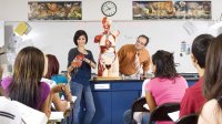 A teenage girl conducts a presentation in a science classroom.