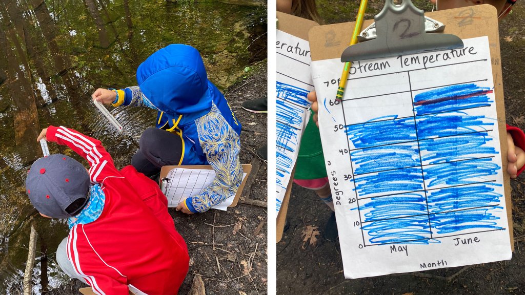 Students measuring a stream's temperature