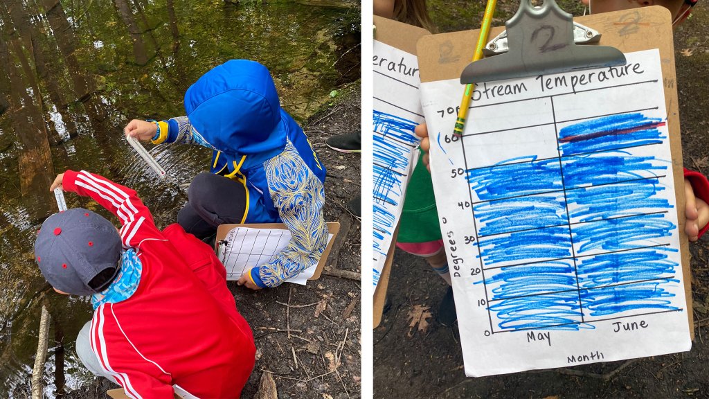 Students measuring a stream's temperature