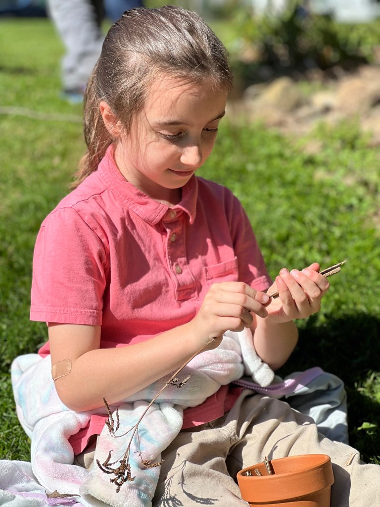 Student observes a plant clipping