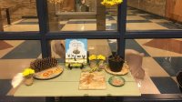 Table set up in a hallway displaying found objects from nature and a book