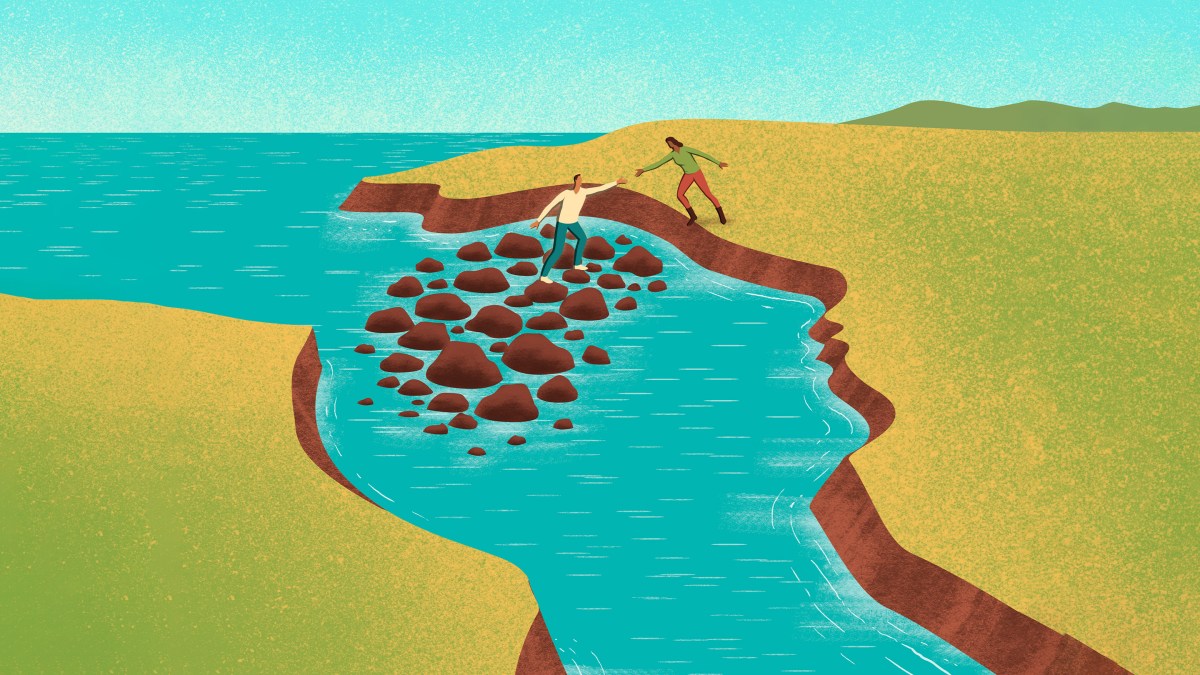 lead article image
