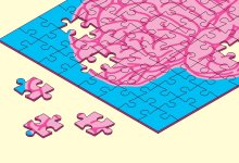 Illustration of brain puzzle