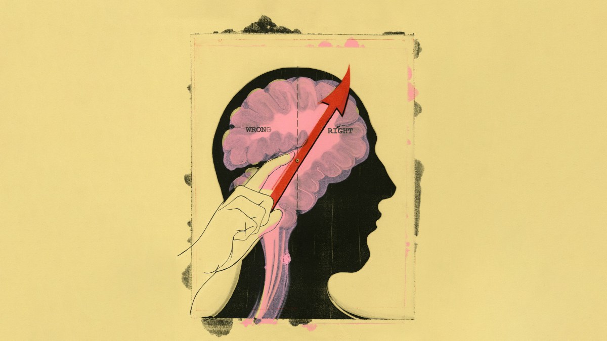 lead article image