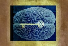 Illustration of brain and key