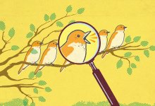 Illustration of a bird and magnifying glass