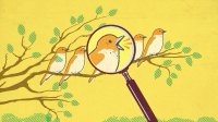 Illustration of a bird and magnifying glass