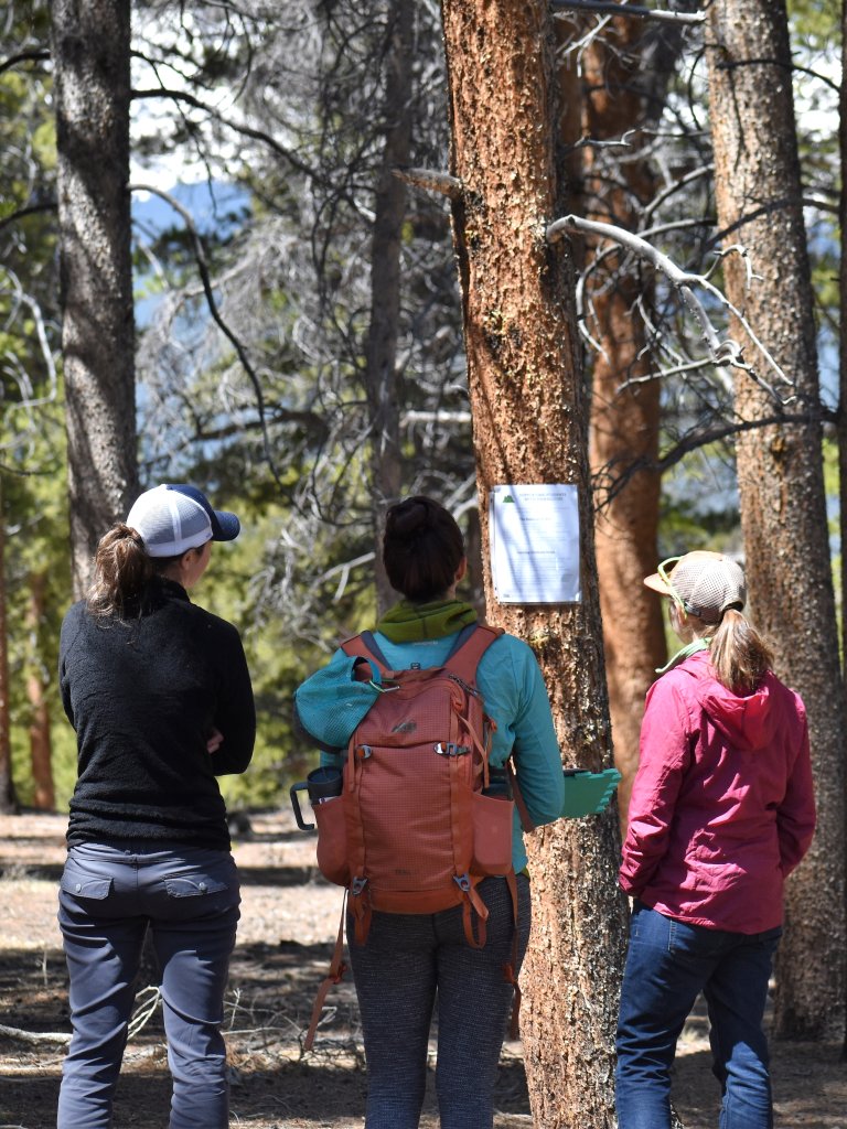 Photo of students having lesson outside