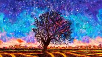 Illustration of a tree in front of a starry night sky