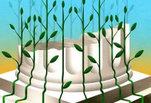 Illustration of vines growing up a column