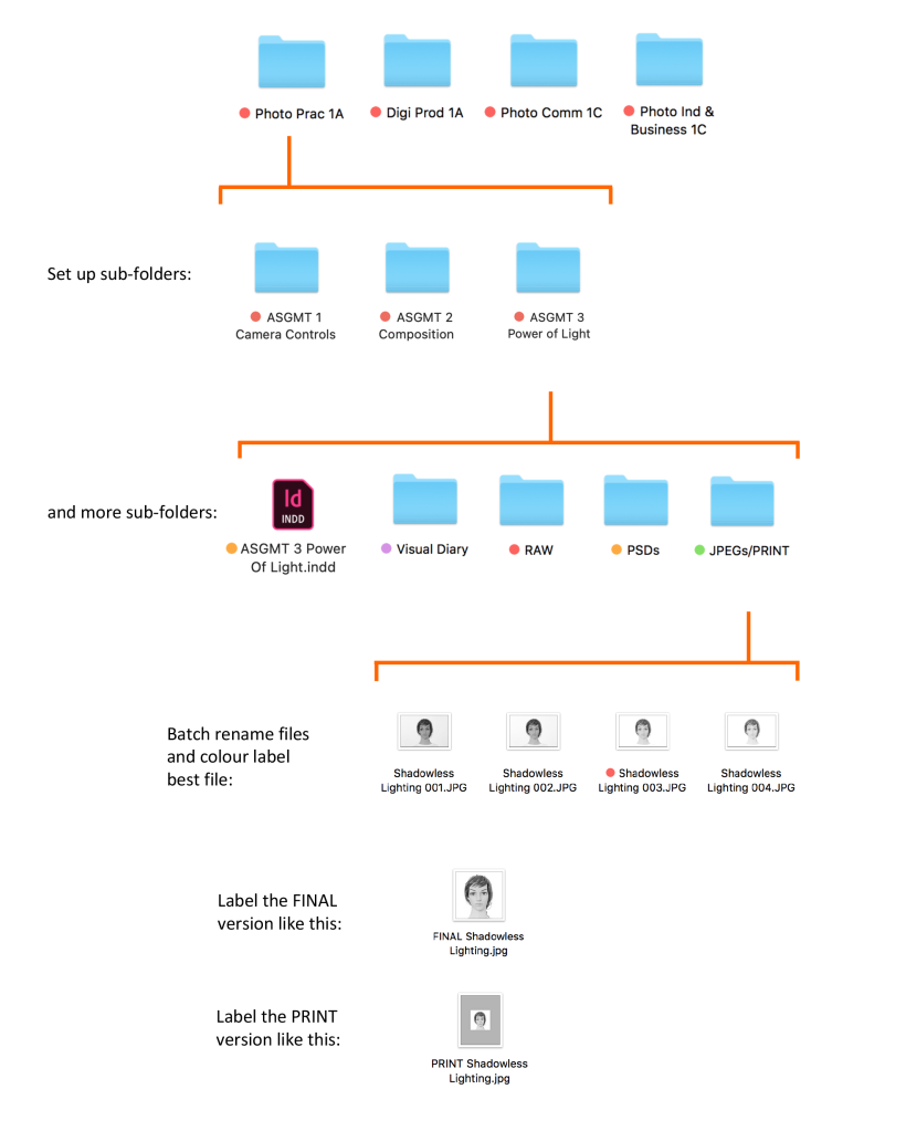 file organization structure guide