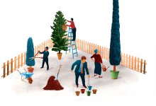 Illustration of people gardening