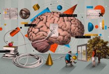 Collage illustration of brain and various research elements