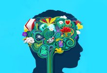 Illustration of brain made of different education topics