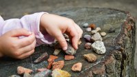 Photo of child counting rocks