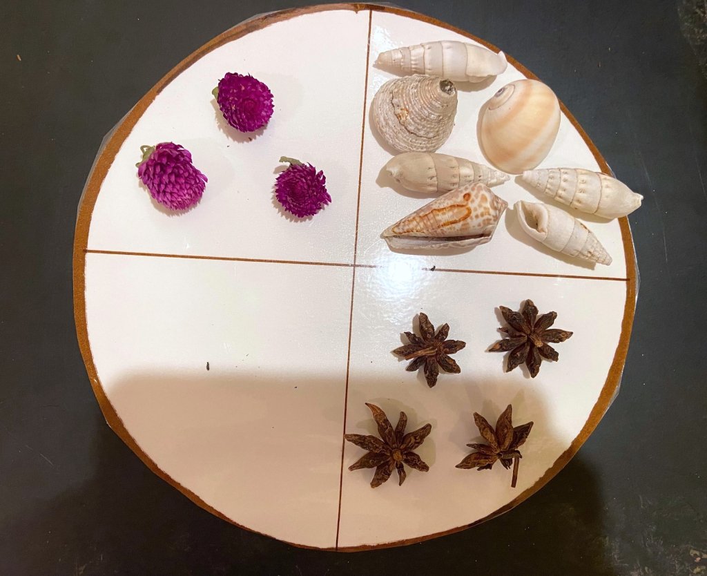 Photo of grid of flowers and shells