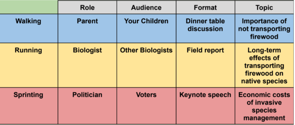 RAFT rubric for a physical science lesson