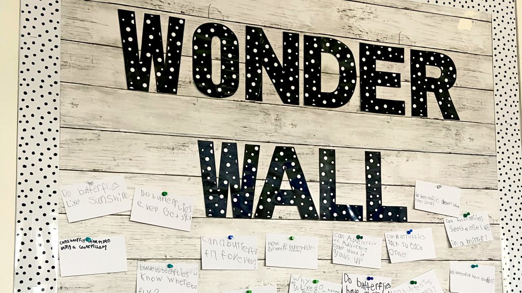 Wonder Wall with question cards