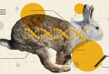 Let Students See the System: Why Separate What Naturally Connects