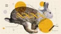 Let Students See the System: Why Separate What Naturally Connects