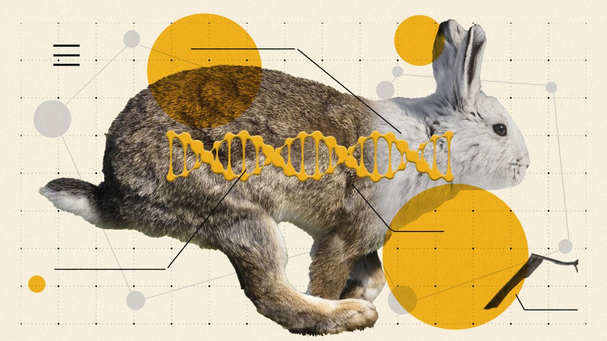 lead article image