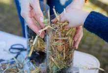 Adult and child making compost in a plastic bottle as a nature experiment