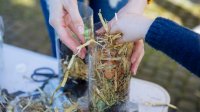 Adult and child making compost in a plastic bottle as a nature experiment