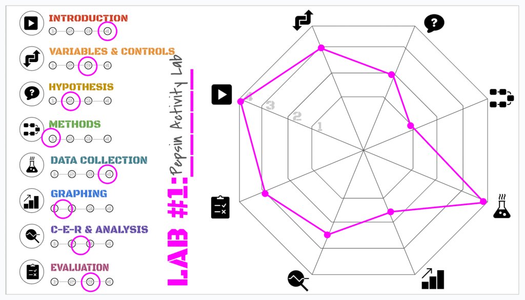 Spider Rubric