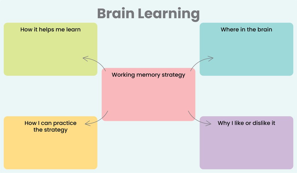 Brain Learning inset