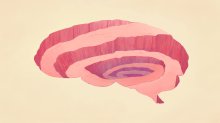 illustration of a brain with a spiraling path leading downwards, representing the idea of slower instruction deeper learning