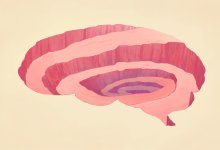 illustration of a brain with a spiraling path leading downwards, representing the idea of slower instruction deeper learning