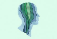 Illustration of layered head