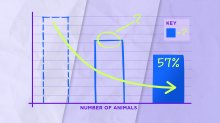 Collage of graph being revealed