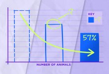 Collage of graph being revealed