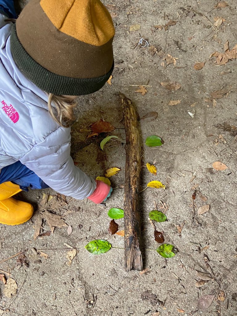 Photo of a student placing leaves next to a branch