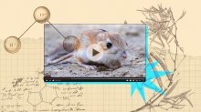 collage of traditional scientific imagery with a video of a desert rodent superimposed on top
